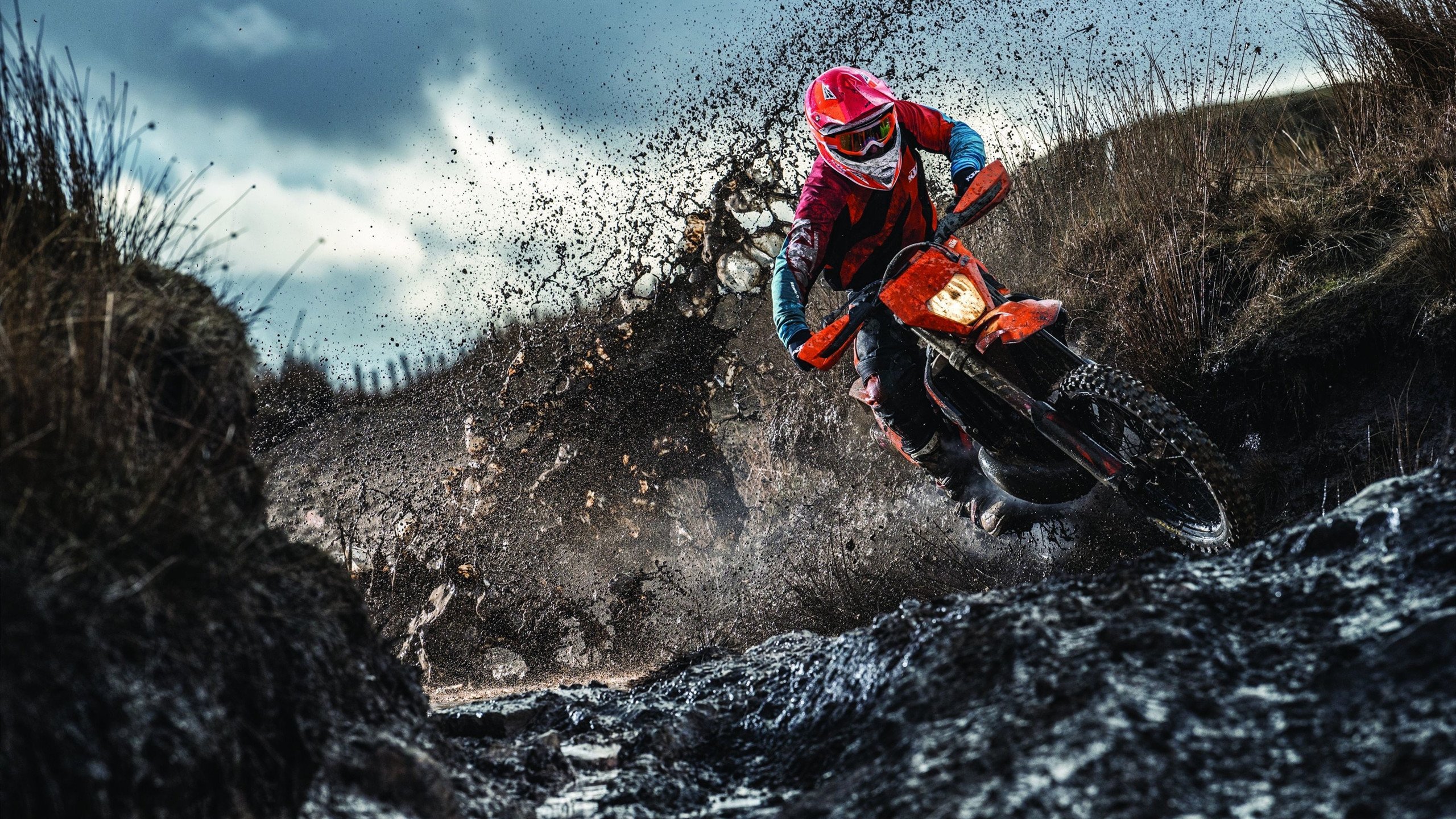 跨越时空的体育热浪,从美加墨世界杯焦点战到爵士争冠之路