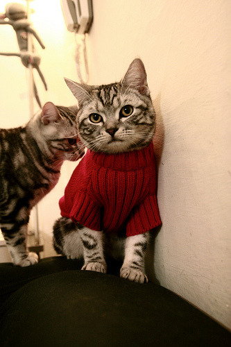 解码卡瓦哈尔的全面爆炸,牙买加如何用数据洪流与雷鬼节奏淹没马德里竞技