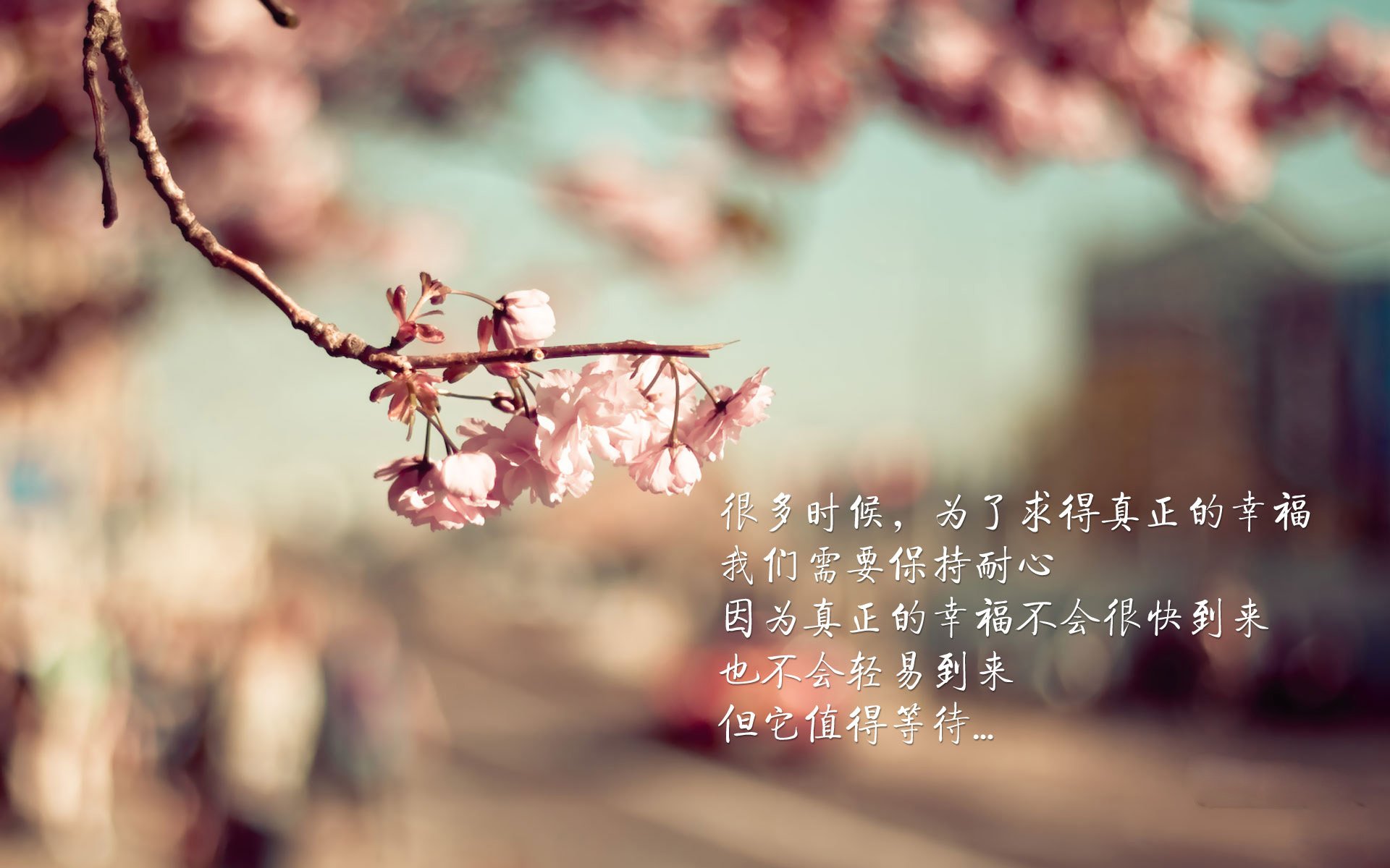 亚洲狮吼！伊朗队2-0完胜切尔西引爆全球热议