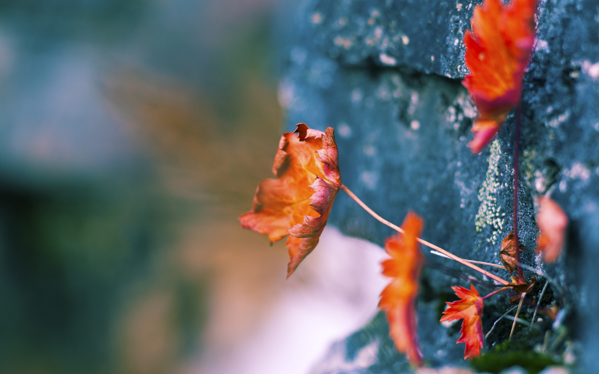 隔空重创，莱比锡欧冠告捷如何搅动英超争冠天平