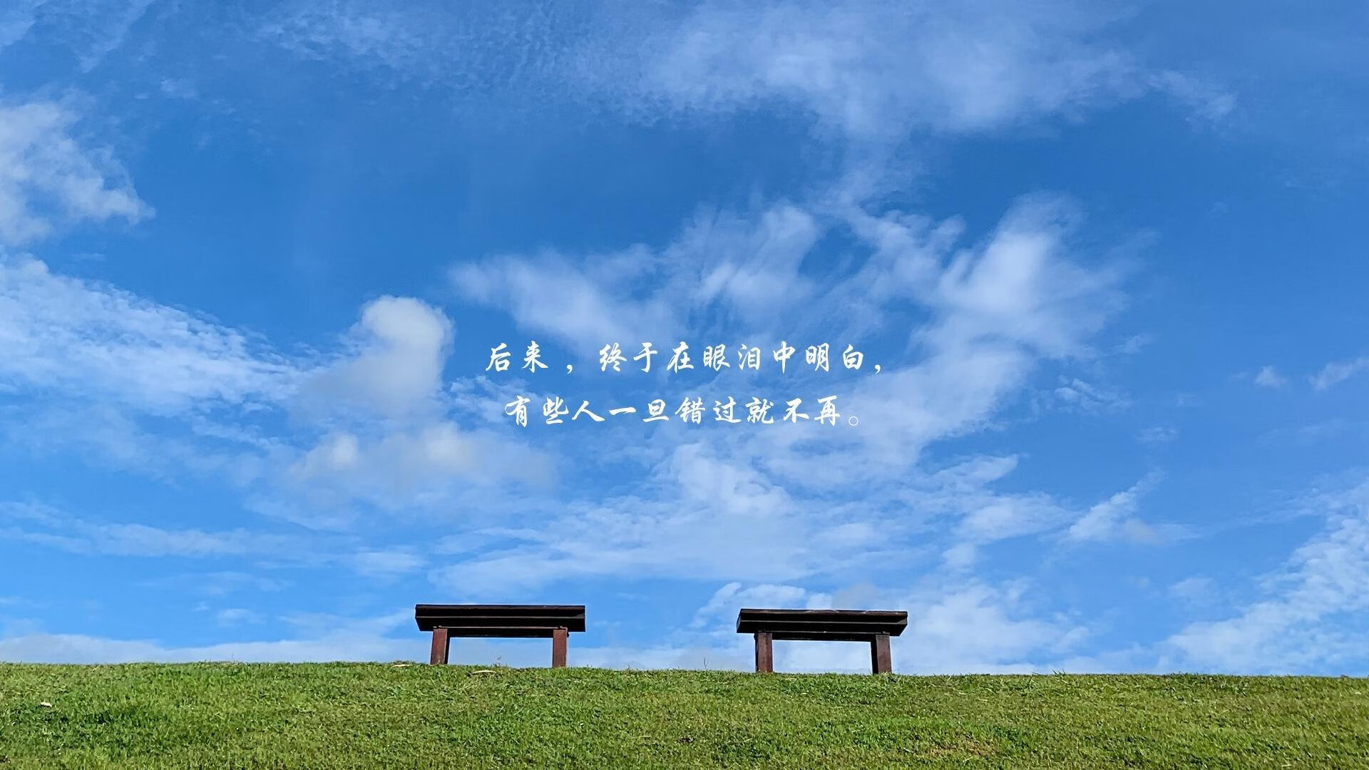 世纪逆转,当黑马的缰绳被少年斩断,世界杯头名之争的血脉偾张