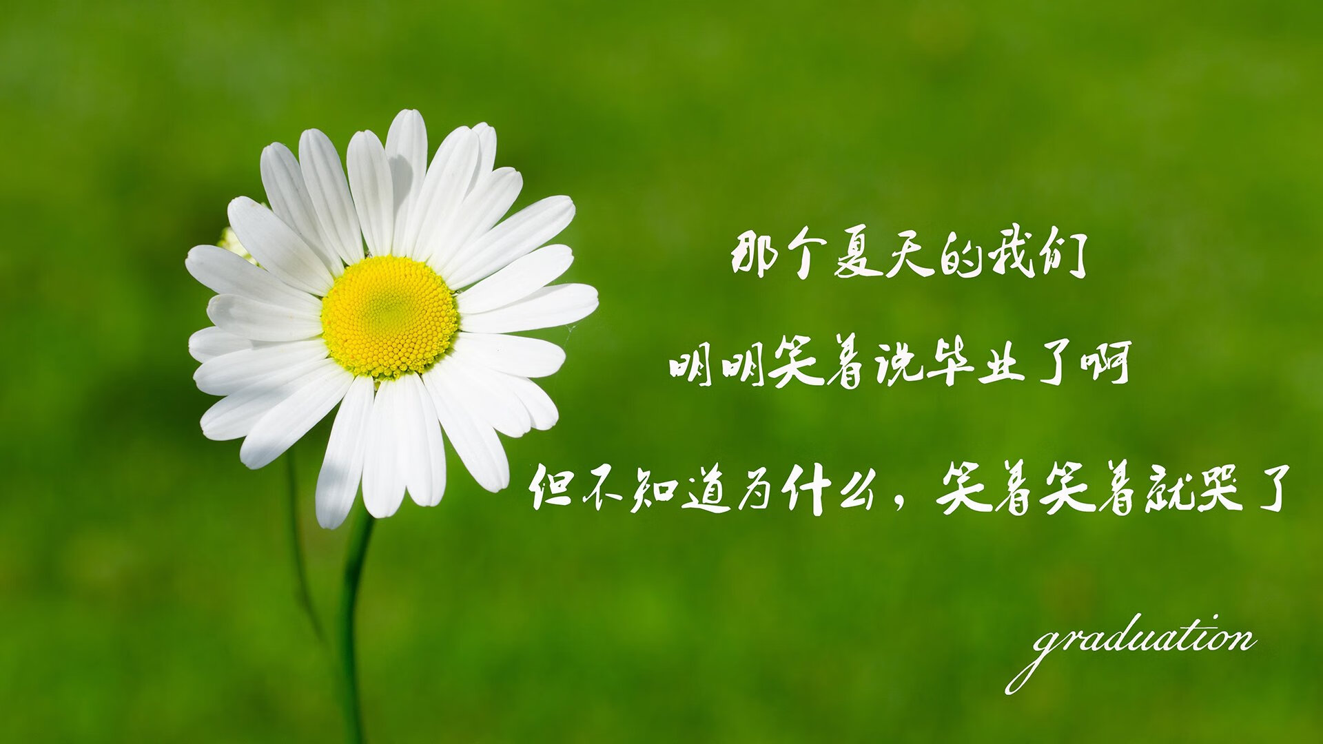 B组惊雷,日本狂胜葡萄牙,哈兰德独造四球宣告新王登基