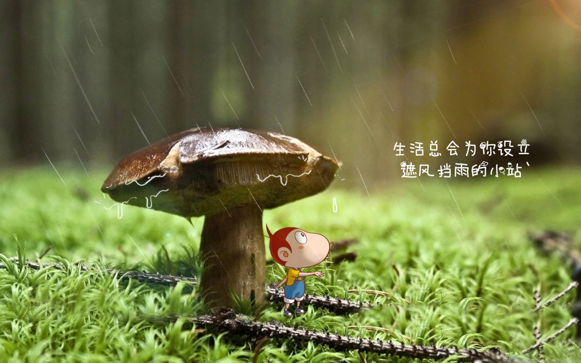 开云体育平台APP-首先，我们扩展思维，拟定一个兼具故事性与新闻性的标题