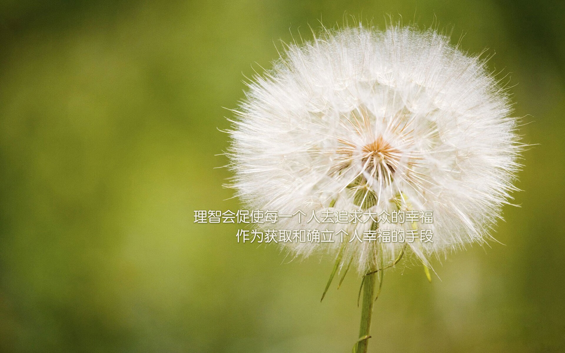 我将围绕逆转与破局的核心，为您构思并撰写这篇文章